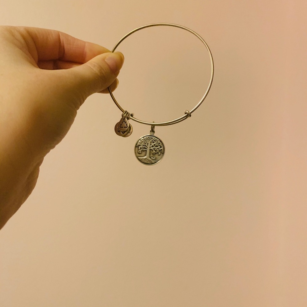 Alex and Ani Tree of Life bracelet